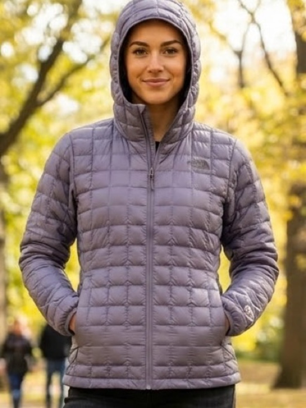 The North Face Women's Plus ThermoBall Eco Hoodie Quilted Puffer Jacket 1X